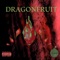 Dragonfruit - Ricio lyrics