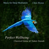 Perfect Wellbeing: Classical Guitar & Nature Sounds artwork