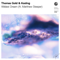 Wildest Dream-Thomas Gold & Kosling ft. Matthew Steeper