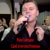 Cand Ai Nevasta Frumoasa - Single