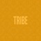 Tribe - Jidenna lyrics