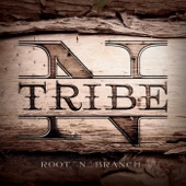 N'tribe - Paint It Black