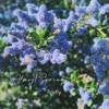Almost Spring - Single