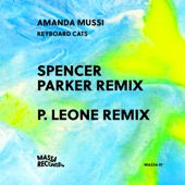 Keyboard Cats (Spencer Parker remix) artwork