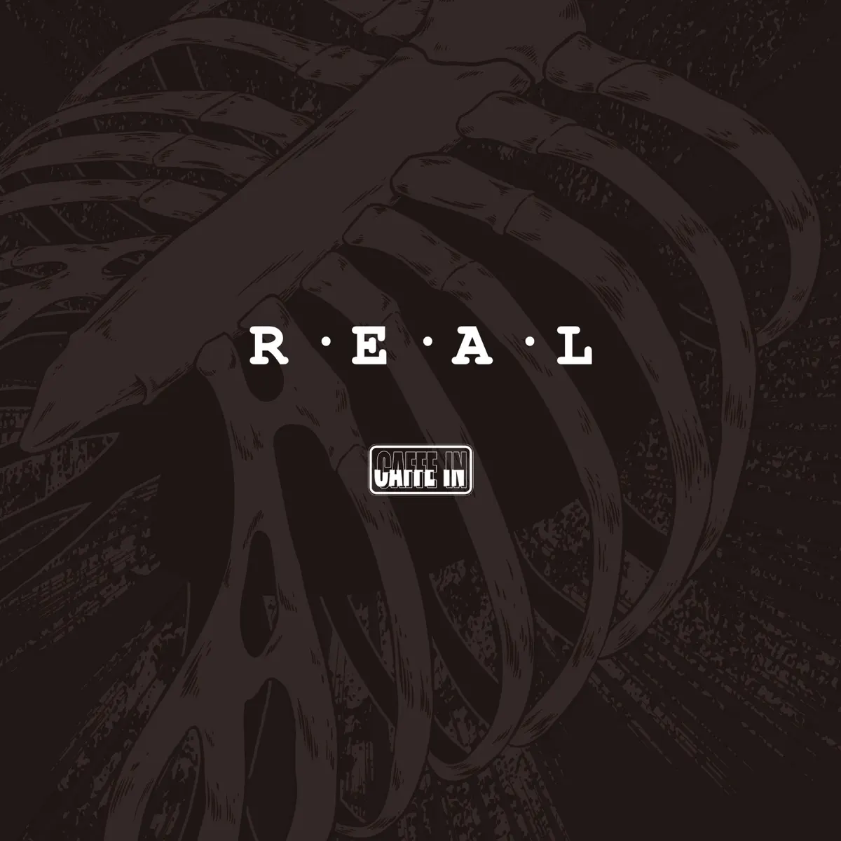 咖啡因乐队 - REAL (2019) [iTunes Plus AAC M4A]-新房子