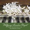 Piano Concerto no.24 in C Minor , K.491: Allegretto artwork