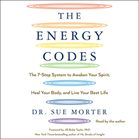 Sue Morter - The Energy Codes (Unabridged) artwork