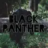 Black Panther (feat. Yung Cali) - Single album lyrics, reviews, download