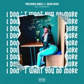 I Don't Want You No More (feat. Dash Hesh) artwork