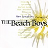 Plays Beach Boys, 2005