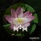 Lotus (Radio Edit) artwork