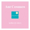 Ant Cosmos - Luna de Colores