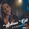 Ardiana Dili - Le Te Qeshin Syt E Tu