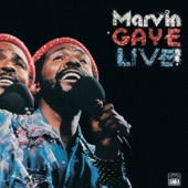 Marvin Gaye - Distant Lover (Live)