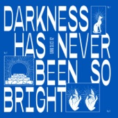 Darkness Has Never Been so Bright (Dark Slice 2) - EP artwork