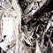 Talisman (Fur Coat's Amulet Rework) - Dyzen lyrics