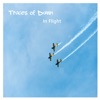 In Flight - Single