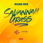 Savannah Grass (N.M.G. Music Road Mix) artwork