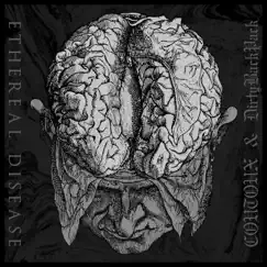 Ethereal Disease - Single by Coutoux & DirtyBackPack album reviews, ratings, credits