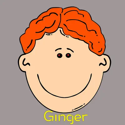 Ginger - Single - Rucka Rucka Ali