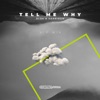 Tell Me Why (VIP Mix) - Single