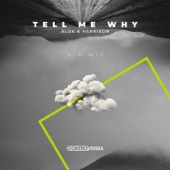 Tell Me Why (VIP Mix) artwork
