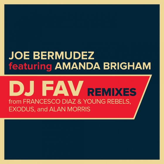 Cover artwork for DJ Fav