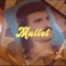 Mullet - Los Amantes Del Cineclub lyrics