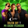 Tarzan Boy y Mi Cocha Pechocha - Single