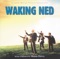 Red Herrings [Waking Ned] cover