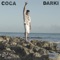 Coca - Darki lyrics
