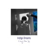 Indigo Dreams artwork