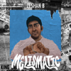 Zeshan B - Melismatic  artwork