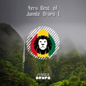 Very Best of Jungle Drops I artwork