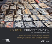 Johannespassion, BWV 245 (1749 Version): No. 28, Er nahm alles wohl in acht artwork
