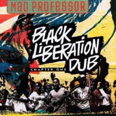 Mad Professor - Slavery 21st Century