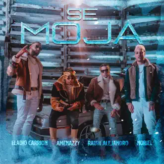 Se Moja (feat. Noriel) by Eladio Carrión, Amenazzy & Rauw Alejandro song reviws