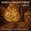 Secrets of the Ancient Forest (Meditations in the Natural World)