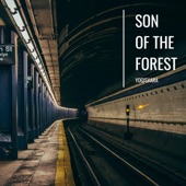 Son of the Forest artwork