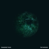 The Woods artwork