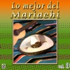 Mariachi México - El Barrilito