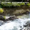 Forest Water Streams and Cascades album lyrics, reviews, download