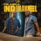 Indomável (feat. Belo) artwork