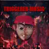 TRIGGERED MUSIC album lyrics, reviews, download