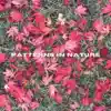 Patterns In Nature - EP album lyrics, reviews, download