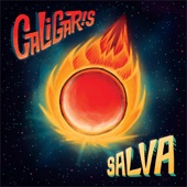 Salva artwork