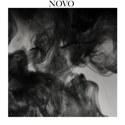 Paladora Indica - Single - Novo