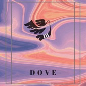 Dove artwork