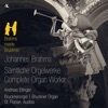 Andreas Etlinger - 11 Chorale Preludes, Op. 122: No. 8, Es ist ein Ros' entsprungen