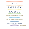 The Energy Codes (Unabridged) - Sue Morter